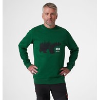 Bluza Helly Hansen Graphic Green